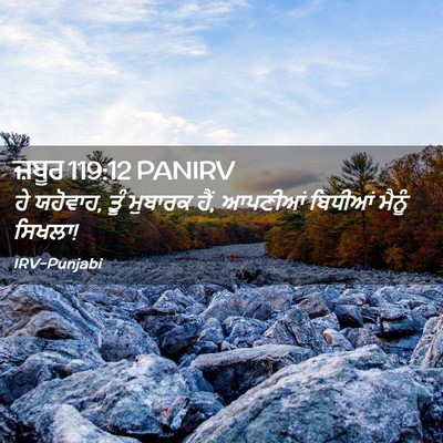 Picture 02 - ਜ਼ਬੂਰ 119:12 PANIRV - ਹੇ ਯਹੋਵਾਹ, ਤੂੰ - Bible Verse Picture
