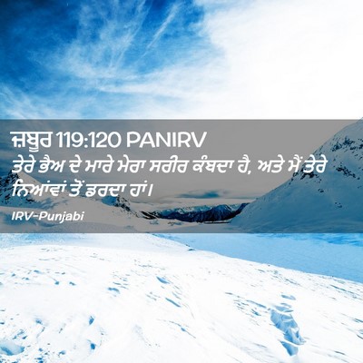 Picture 02 - ਜ਼ਬੂਰ 119:120 PANIRV - ਤੇਰੇ ਭੈਅ ਦੇ ਮਾਰੇ - Bible Verse Picture