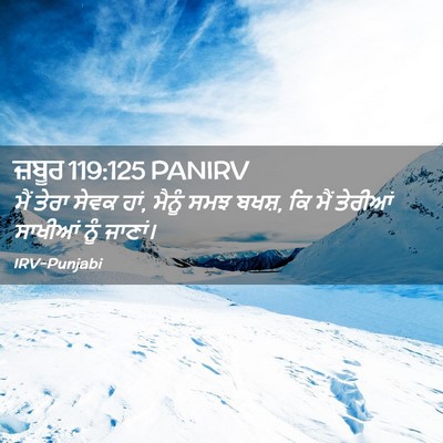 Picture 02 - ਜ਼ਬੂਰ 119:125 PANIRV - ਮੈਂ ਤੇਰਾ ਸੇਵਕ ਹਾਂ, - Bible Verse Picture