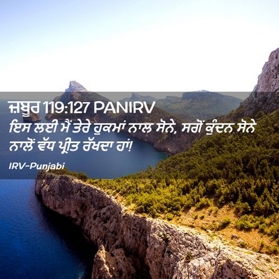Picture 02 - ਜ਼ਬੂਰ 119:127 PANIRV - ਇਸ ਲਈ ਮੈਂ ਤੇਰੇ - Bible Verse Picture
