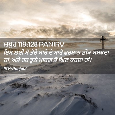 Picture 02 - ਜ਼ਬੂਰ 119:128 PANIRV - ਇਸ ਲਈ ਮੈਂ ਤੇਰੇ ਸਾਰੇ - Bible Verse Picture