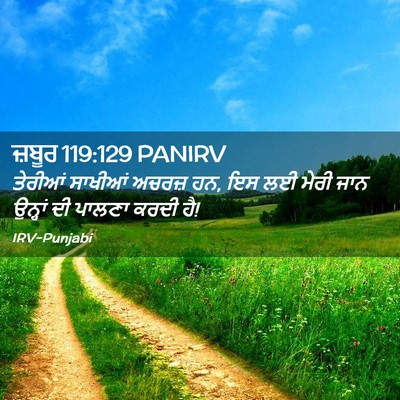 Picture 02 - ਜ਼ਬੂਰ 119:129 PANIRV - ਤੇਰੀਆਂ ਸਾਖੀਆਂ - Bible Verse Picture