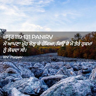 Picture 02 - ਜ਼ਬੂਰ 119:131 PANIRV - ਮੈਂ ਆਪਣਾ ਮੂੰਹ - Bible Verse Picture