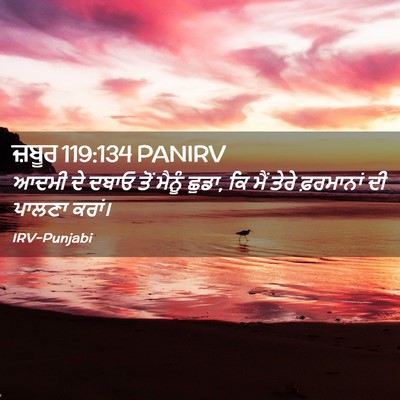 Picture 02 - ਜ਼ਬੂਰ 119:134 PANIRV - ਆਦਮੀ ਦੇ ਦਬਾਓ ਤੋਂ - Bible Verse Picture