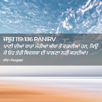 Picture 02 - ਜ਼ਬੂਰ 119:136 PANIRV - ਪਾਣੀ ਦੀਆਂ ਧਾਰਾਂ - Bible Verse Picture