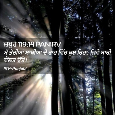 Picture 02 - ਜ਼ਬੂਰ 119:14 PANIRV - ਮੈਂ ਤੇਰੀਆਂ ਸਾਖੀਆਂ - Bible Verse Picture