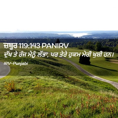 Picture 02 - ਜ਼ਬੂਰ 119:143 PANIRV - ਦੁੱਖ ਤੇ ਰੰਜ ਮੈਨੂੰ - Bible Verse Picture