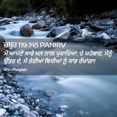 Picture 02 - ਜ਼ਬੂਰ 119:145 PANIRV - ਮੈਂ ਆਪਣੇ ਸਾਰੇ ਮਨ - Bible Verse Picture