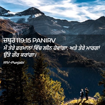 Picture 02 - ਜ਼ਬੂਰ 119:15 PANIRV - ਮੈਂ ਤੇਰੇ ਫ਼ਰਮਾਨਾਂ - Bible Verse Picture