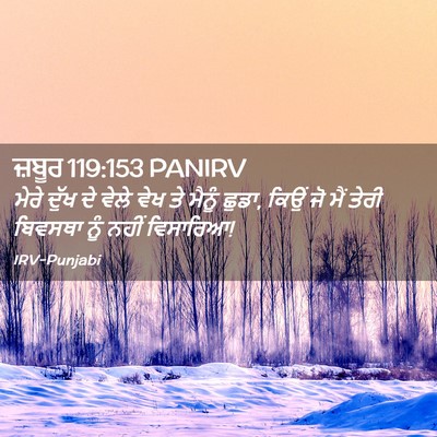 Picture 02 - ਜ਼ਬੂਰ 119:153 PANIRV - ਮੇਰੇ ਦੁੱਖ ਦੇ ਵੇਲੇ - Bible Verse Picture