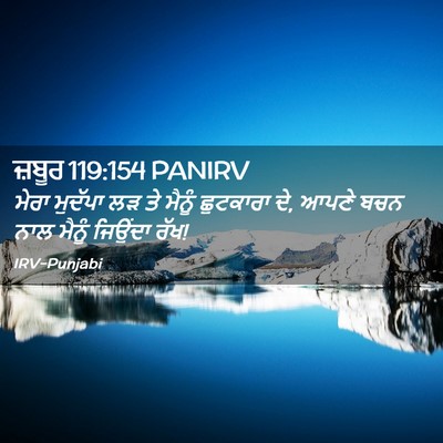 Picture 02 - ਜ਼ਬੂਰ 119:154 PANIRV - ਮੇਰਾ ਮੁਦੱਪਾ ਲੜ ਤੇ - Bible Verse Picture