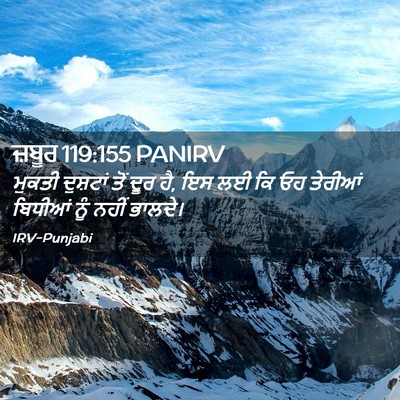 Picture 02 - ਜ਼ਬੂਰ 119:155 PANIRV - ਮੁਕਤੀ ਦੁਸ਼ਟਾਂ ਤੋਂ - Bible Verse Picture