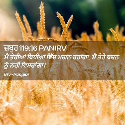 Picture 02 - ਜ਼ਬੂਰ 119:16 PANIRV - ਮੈਂ ਤੇਰੀਆਂ ਬਿਧੀਆਂ - Bible Verse Picture