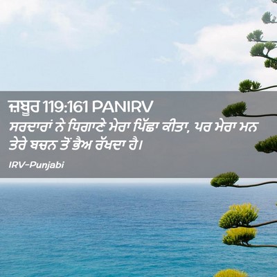 Picture 02 - ਜ਼ਬੂਰ 119:161 PANIRV - ਸਰਦਾਰਾਂ ਨੇ ਧਿਗਾਣੇ - Bible Verse Picture