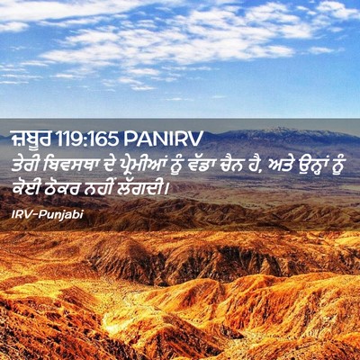 Picture 02 - ਜ਼ਬੂਰ 119:165 PANIRV - ਤੇਰੀ ਬਿਵਸਥਾ ਦੇ - Bible Verse Picture