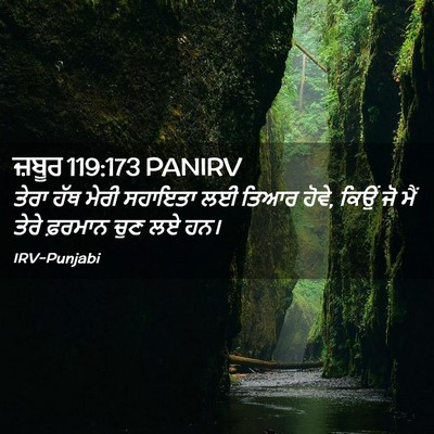 Picture 02 - ਜ਼ਬੂਰ 119:173 PANIRV - ਤੇਰਾ ਹੱਥ ਮੇਰੀ - Bible Verse Picture