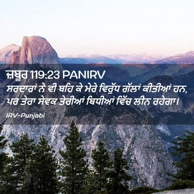 Picture 02 - ਜ਼ਬੂਰ 119:23 PANIRV - ਸਰਦਾਰਾਂ ਨੇ ਵੀ ਬਹਿ - Bible Verse Picture