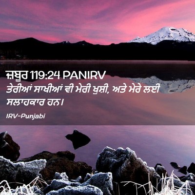 Picture 02 - ਜ਼ਬੂਰ 119:24 PANIRV - ਤੇਰੀਆਂ ਸਾਖੀਆਂ ਵੀ - Bible Verse Picture