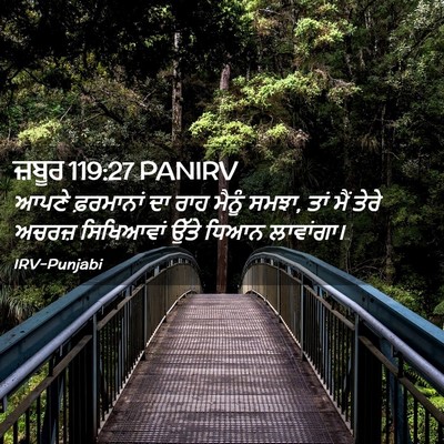 Picture 02 - ਜ਼ਬੂਰ 119:27 PANIRV - ਆਪਣੇ ਫ਼ਰਮਾਨਾਂ ਦਾ - Bible Verse Picture