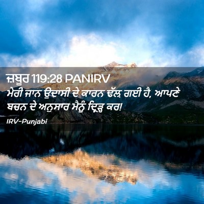 Picture 02 - ਜ਼ਬੂਰ 119:28 PANIRV - ਮੇਰੀ ਜਾਨ ਉਦਾਸੀ ਦੇ - Bible Verse Picture