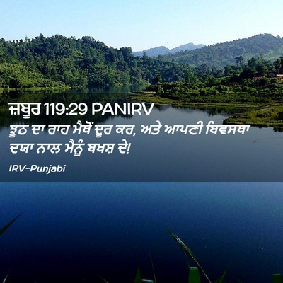 Picture 02 - ਜ਼ਬੂਰ 119:29 PANIRV - ਝੂਠ ਦਾ ਰਾਹ ਮੈਥੋਂ - Bible Verse Picture