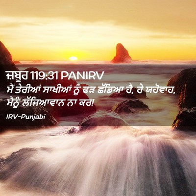 Picture 02 - ਜ਼ਬੂਰ 119:31 PANIRV - ਮੈਂ ਤੇਰੀਆਂ ਸਾਖੀਆਂ - Bible Verse Picture