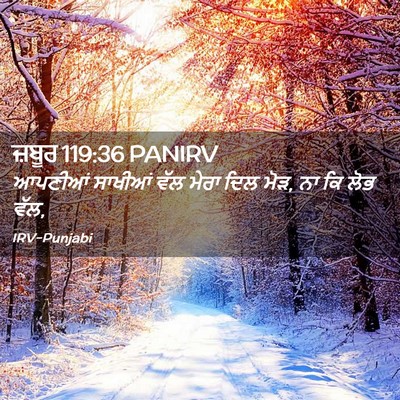 Picture 02 - ਜ਼ਬੂਰ 119:36 PANIRV - ਆਪਣੀਆਂ ਸਾਖੀਆਂ ਵੱਲ - Bible Verse Picture