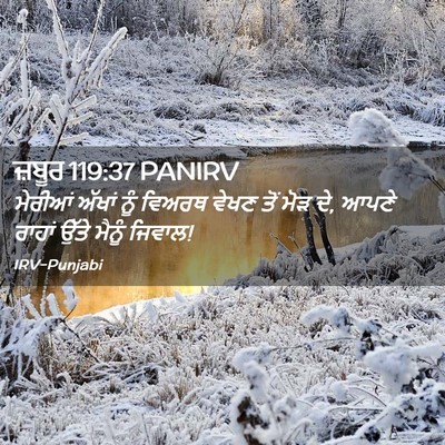 Picture 02 - ਜ਼ਬੂਰ 119:37 PANIRV - ਮੇਰੀਆਂ ਅੱਖਾਂ ਨੂੰ - Bible Verse Picture
