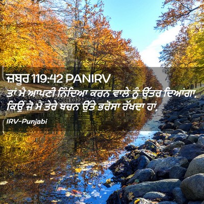 Picture 02 - ਜ਼ਬੂਰ 119:42 PANIRV - ਤਾਂ ਮੈ ਆਪਣੀ ਨਿੰਦਿਆ - Bible Verse Picture