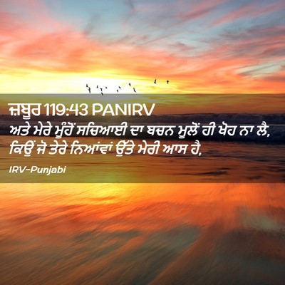 Picture 02 - ਜ਼ਬੂਰ 119:43 PANIRV - ਅਤੇ ਮੇਰੇ ਮੂੰਹੋਂ - Bible Verse Picture