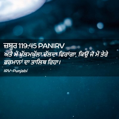 Picture 02 - ਜ਼ਬੂਰ 119:45 PANIRV - ਅਤੇ ਮੈਂ - Bible Verse Picture