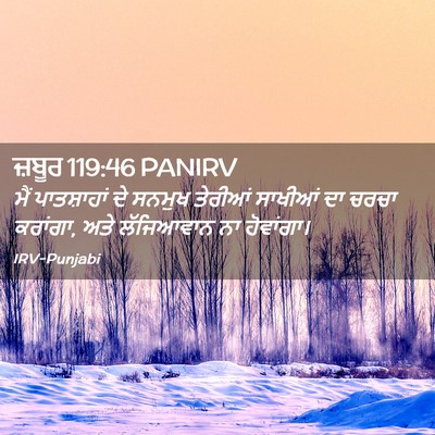 Picture 02 - ਜ਼ਬੂਰ 119:46 PANIRV - ਮੈਂ ਪਾਤਸ਼ਾਹਾਂ ਦੇ - Bible Verse Picture