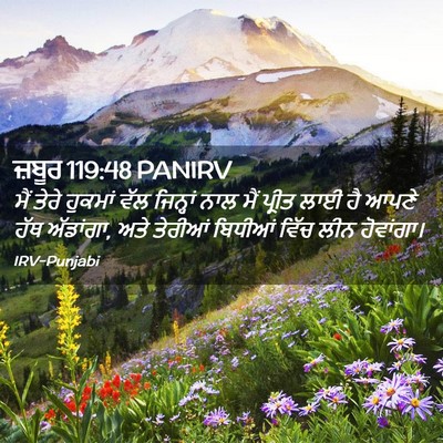 Picture 02 - ਜ਼ਬੂਰ 119:48 PANIRV - ਮੈਂ ਤੇਰੇ ਹੁਕਮਾਂ - Bible Verse Picture