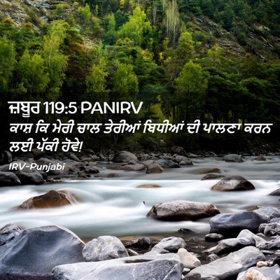 Picture 02 - ਜ਼ਬੂਰ 119:5 PANIRV - ਕਾਸ਼ ਕਿ ਮੇਰੀ ਚਾਲ - Bible Verse Picture