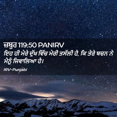 Picture 02 - ਜ਼ਬੂਰ 119:50 PANIRV - ਇਹ ਹੀ ਮੇਰੇ ਦੁੱਖ - Bible Verse Picture