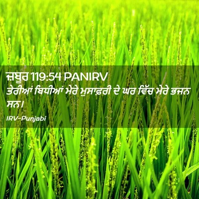 Picture 02 - ਜ਼ਬੂਰ 119:54 PANIRV - ਤੇਰੀਆਂ ਬਿਧੀਆਂ - Bible Verse Picture