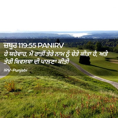 Picture 02 - ਜ਼ਬੂਰ 119:55 PANIRV - ਹੇ ਯਹੋਵਾਹ, ਮੈਂ - Bible Verse Picture