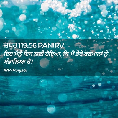 Picture 02 - ਜ਼ਬੂਰ 119:56 PANIRV - ਇਹ ਮੈਨੂੰ ਇਸ ਲਈ - Bible Verse Picture