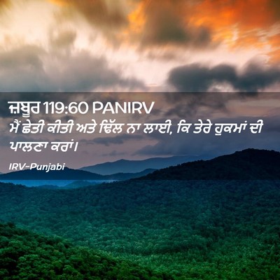 Picture 02 - ਜ਼ਬੂਰ 119:60 PANIRV - ਮੈਂ ਛੇਤੀ ਕੀਤੀ ਅਤੇ - Bible Verse Picture