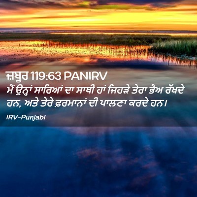 Picture 02 - ਜ਼ਬੂਰ 119:63 PANIRV - ਮੈਂ ਉਨ੍ਹਾਂ ਸਾਰਿਆਂ - Bible Verse Picture