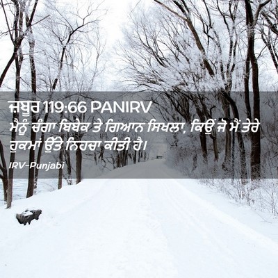 Picture 02 - ਜ਼ਬੂਰ 119:66 PANIRV - ਮੈਨੂੰ ਚੰਗਾ ਬਿਬੇਕ - Bible Verse Picture