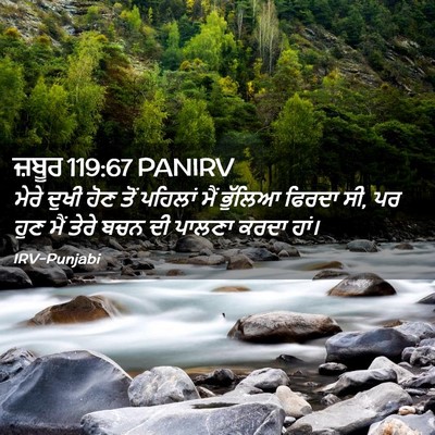 Picture 02 - ਜ਼ਬੂਰ 119:67 PANIRV - ਮੇਰੇ ਦੁਖੀ ਹੋਣ ਤੋਂ - Bible Verse Picture