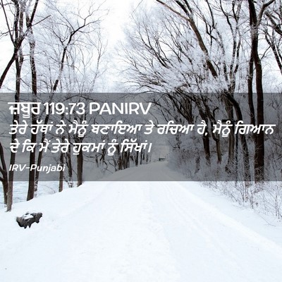 Picture 02 - ਜ਼ਬੂਰ 119:73 PANIRV - ਤੇਰੇ ਹੱਥਾਂ ਨੇ - Bible Verse Picture