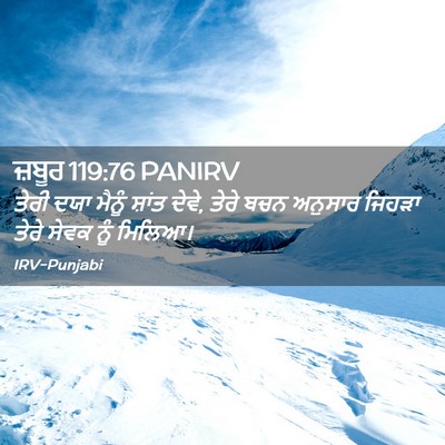 Picture 02 - ਜ਼ਬੂਰ 119:76 PANIRV - ਤੇਰੀ ਦਯਾ ਮੈਨੂੰ - Bible Verse Picture