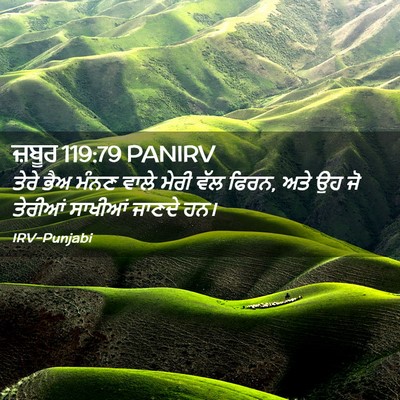 Picture 02 - ਜ਼ਬੂਰ 119:79 PANIRV - ਤੇਰੇ ਭੈਅ ਮੰਨਣ ਵਾਲੇ - Bible Verse Picture