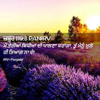 Picture 02 - ਜ਼ਬੂਰ 119:8 PANIRV - ਮੈਂ ਤੇਰੀਆਂ ਬਿਧੀਆਂ - Bible Verse Picture
