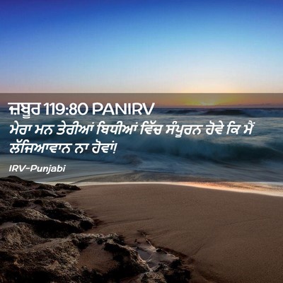 Picture 02 - ਜ਼ਬੂਰ 119:80 PANIRV - ਮੇਰਾ ਮਨ ਤੇਰੀਆਂ - Bible Verse Picture