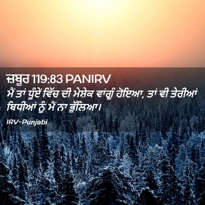 Picture 02 - ਜ਼ਬੂਰ 119:83 PANIRV - ਮੈਂ ਤਾਂ ਧੂੰਏਂ ਵਿੱਚ - Bible Verse Picture