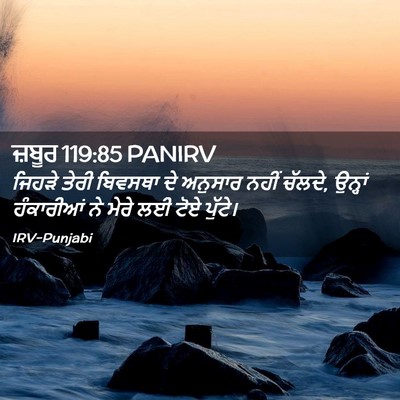 Picture 02 - ਜ਼ਬੂਰ 119:85 PANIRV - ਜਿਹੜੇ ਤੇਰੀ ਬਿਵਸਥਾ - Bible Verse Picture