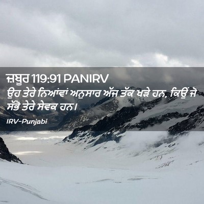 Picture 02 - ਜ਼ਬੂਰ 119:91 PANIRV - ਉਹ ਤੇਰੇ ਨਿਆਂਵਾਂ - Bible Verse Picture